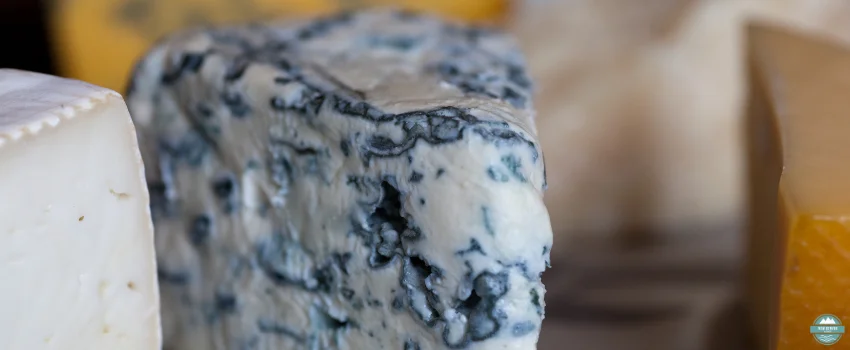 NDL-Blue Cheese