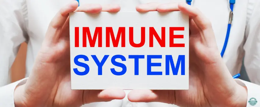 NDL-Immune System