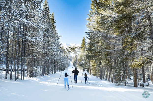 Skiing and Snowboarding Safety Tips For the Family