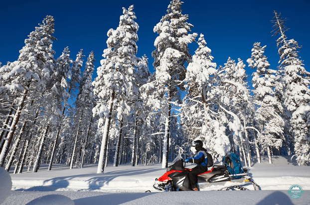 NDL-thumbnail-Man driving snowmobile in snowy forest in a sunny day